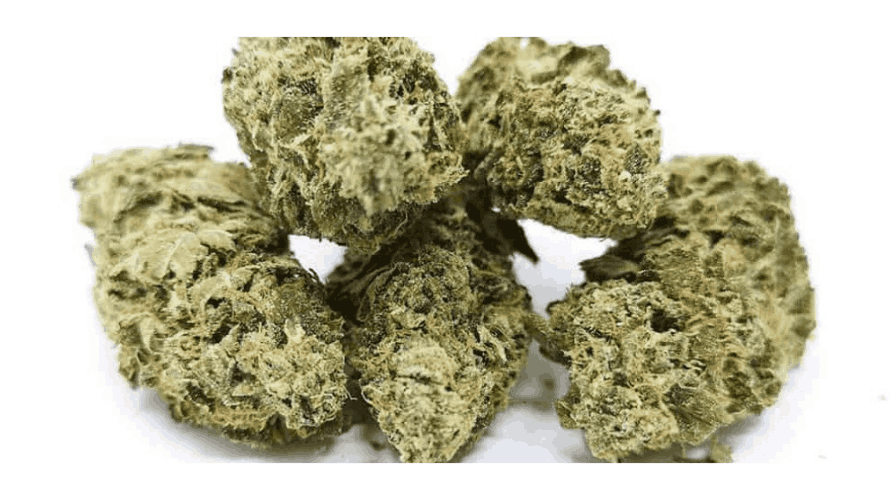 greasy pink bubba